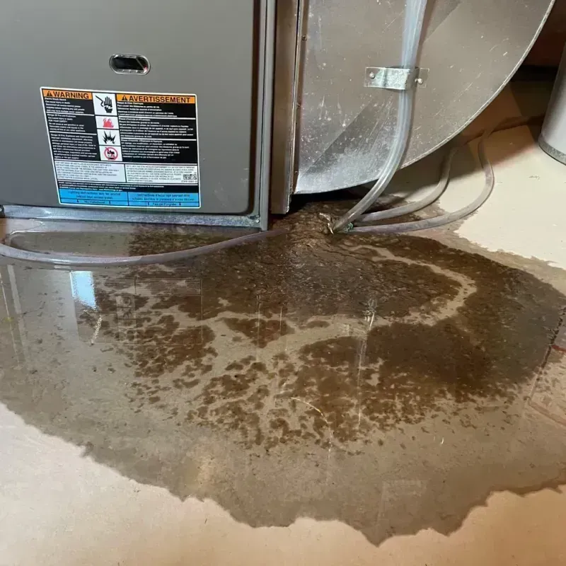 Appliance Leak Cleanup in Eldon, MO